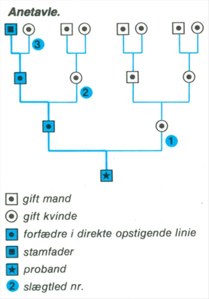 Artikel billede