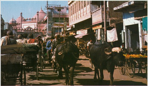 Agra