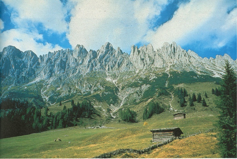 Alperne