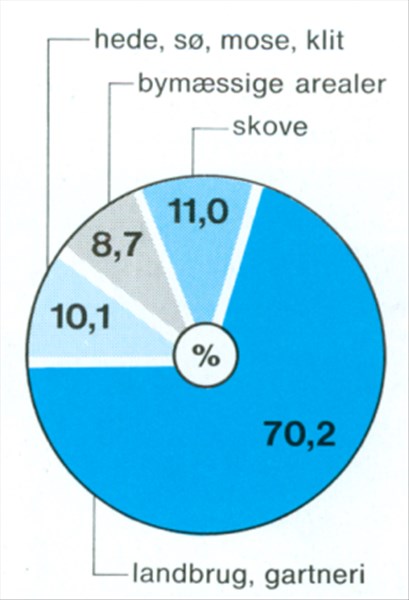 Artikel billede