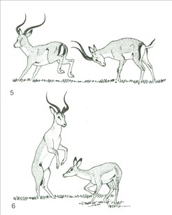 Artikel billede