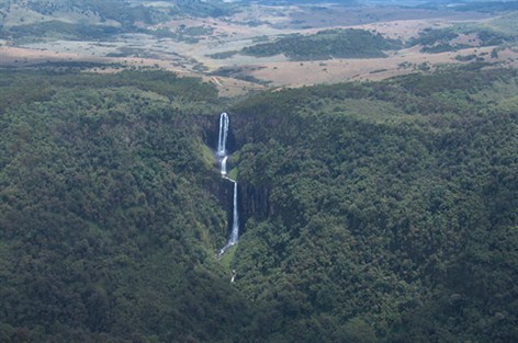 Aberdare National Park