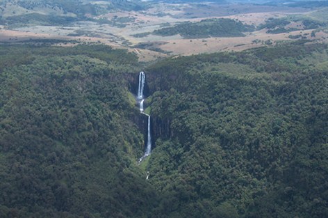 Aberdare National Park