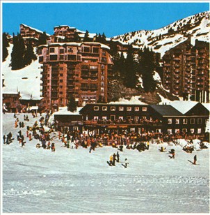 Alperne