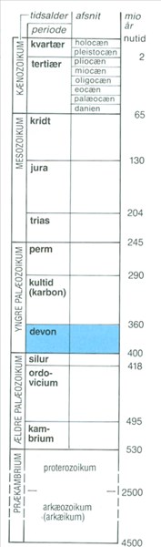 Artikel billede