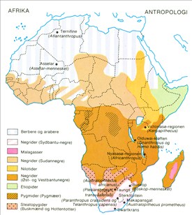 Afrika