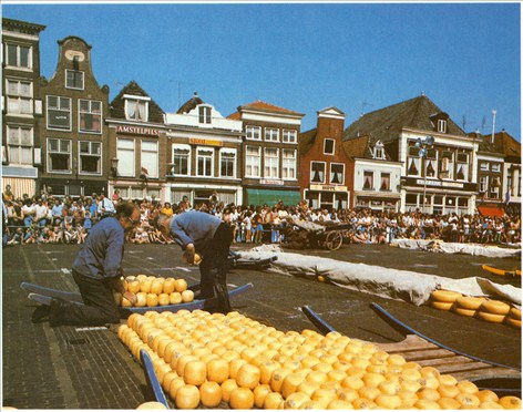 Alkmaar