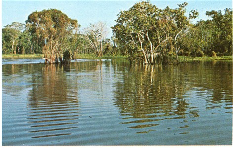 Amazonas (flod)