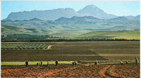 Algeriet