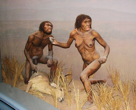 abemenneske - Homo erectus