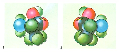 aminosyrer