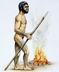 abemenneske - Homo erectus