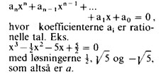 algebraiske tal