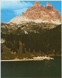 Alperne