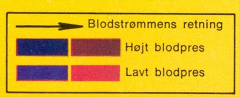 Artikel billede