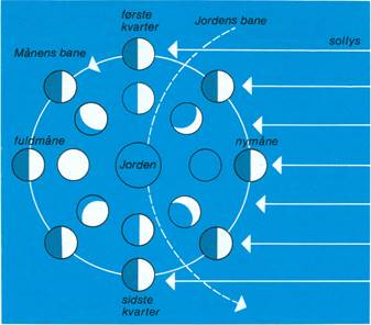 månens faser