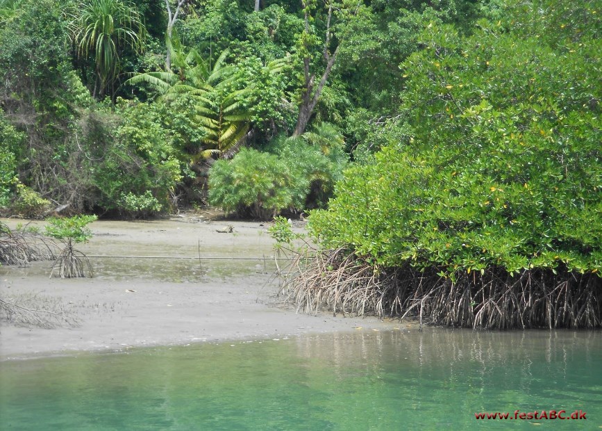 Andamanerne