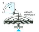 manometer