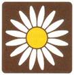 Marguerit·ruten