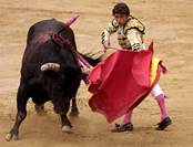 matador