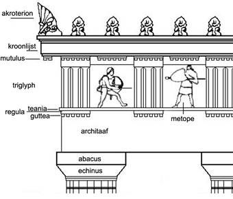 mutulus