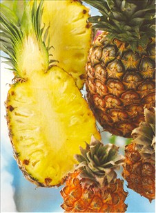 Ananas